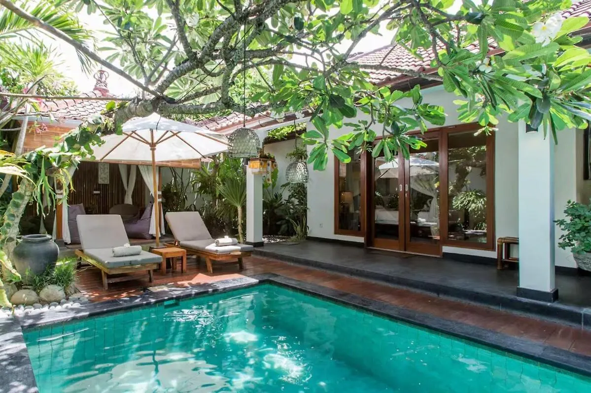 kontakty The Clovewood Villa